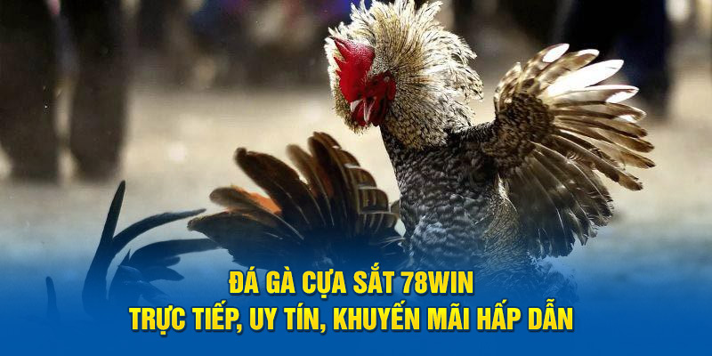 đá gà cựa sắt