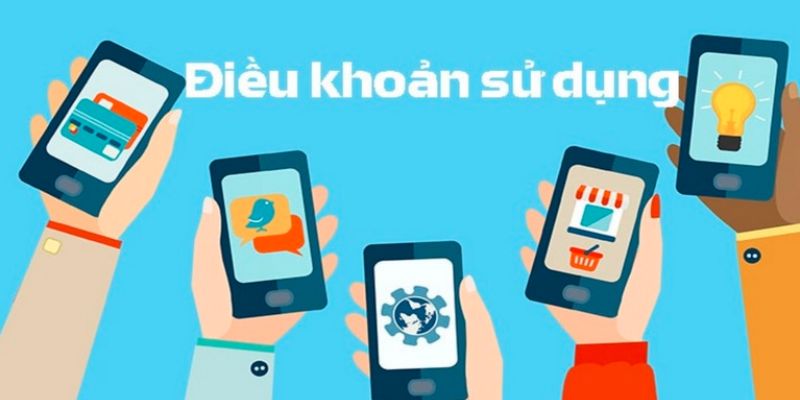 Điều khoản sử dụng quy định các trường hợp xử phạt, tranh chấp