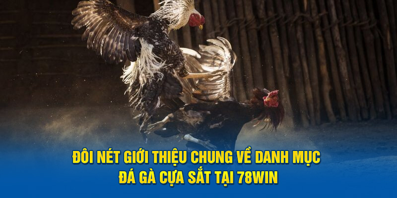 Đôi nét giới thiệu chung về danh mục đá gà cựa sắt tại 78win